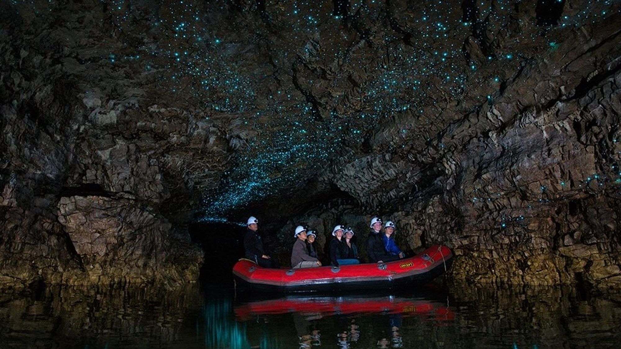 spellbound cave tours waitomo